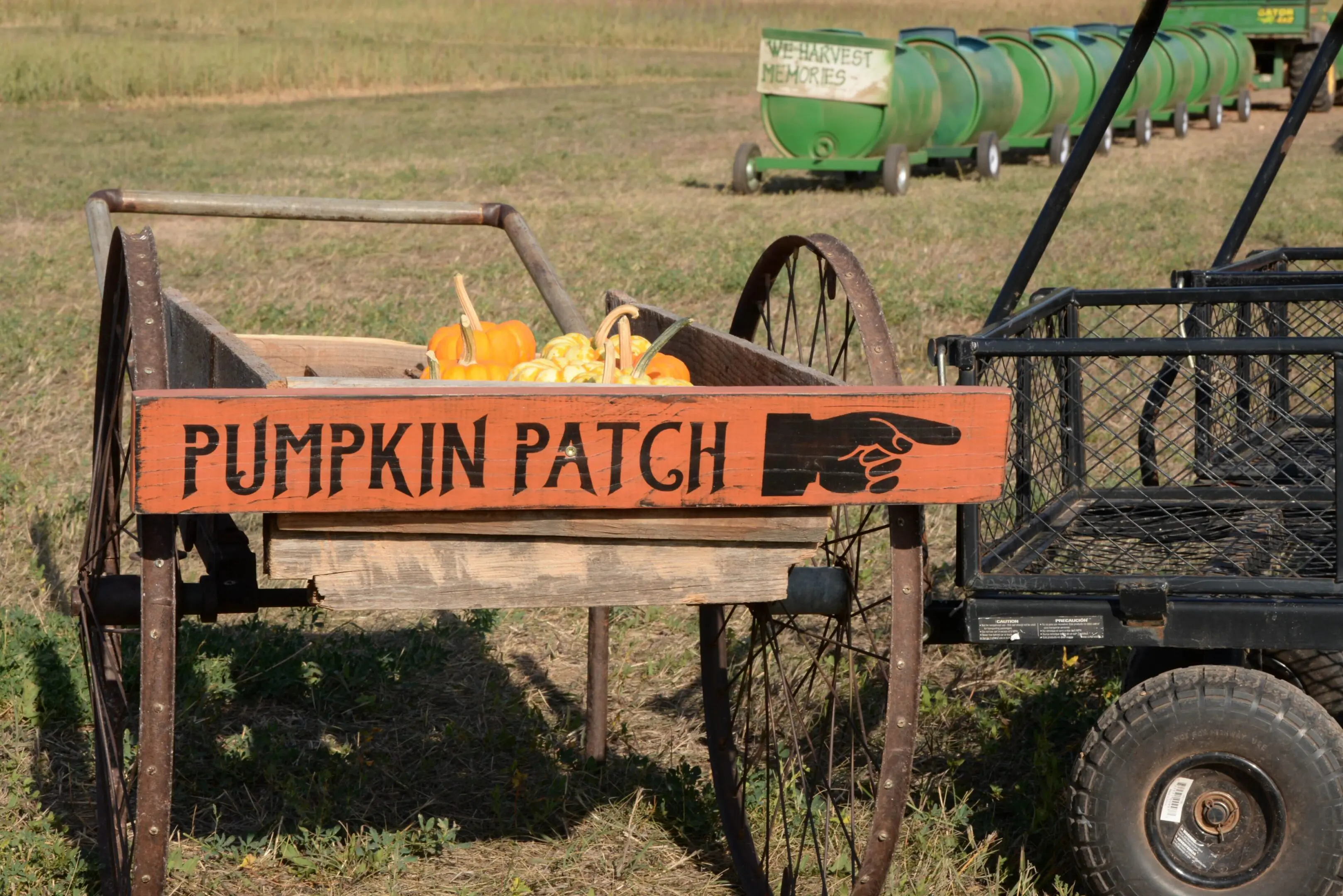 A wooden cart with pumpkins in it.